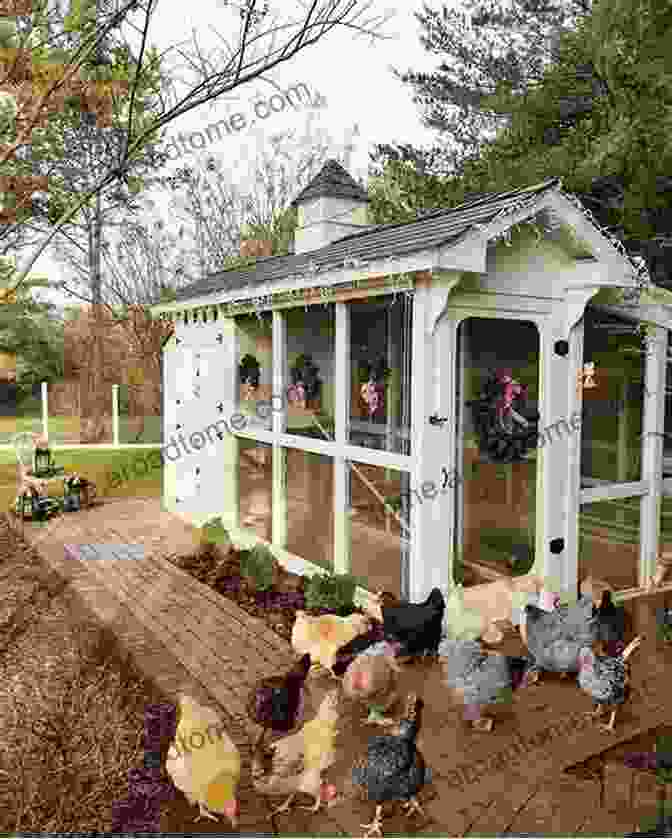 A Beautiful Chicken Coop In A Backyard Art Of The Chicken Coop: A Fun And Essential Guide To Housing Your Peeps