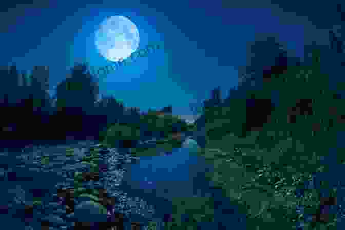 A Beautiful Landscape With A Moonlit Forest, A Sparkling River, And A Majestic Mountain Moon Princess Barbara Laban