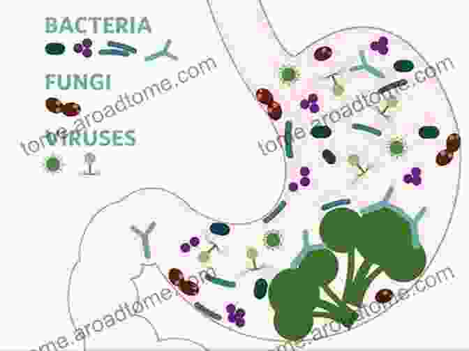 A Colorful Illustration Of The Gut Microbiome, Showcasing The Vast Array Of Beneficial Bacteria That Reside In Our Digestive System. Ibuprofen Side Effects: Bleeding Ulcers Are Just The Beginning