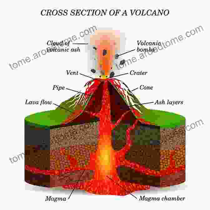 A Cross Section Diagram Of A Volcano, Illustrating Its Internal Structure. The Eruption Of Mount St Helens Volcano Age 12 Children S Earthquake Volcano