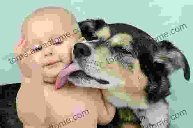 A Dog Licking A Child's Face Good Dog: Celebrating Dogs Who Change And Sometimes Even Save Our Lives