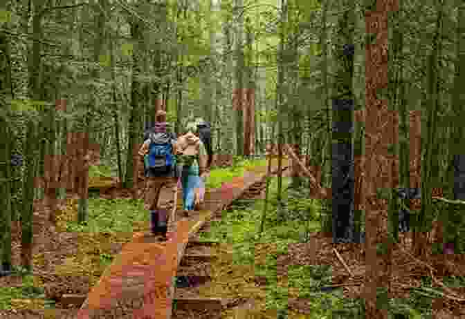 A Hiker Enjoying A Picturesque Walking Trail Walks And Climbs In The Pyrenees: Walks Climbs And Multi Day Treks (Cicerone Walking Guides)