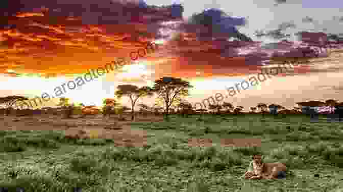 A Majestic Lion Surveys Its Surroundings In The Serengeti National Park. Animals Of The Serengeti Wildlife Of East Africa Encyclopedias For Children