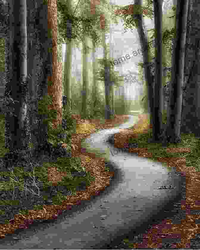 A Path Winding Through A Forest Symbolizes The Journey To Recovery After A Heart Attack. I DON T WANT TO DIE LIKE THIS : A Survivor S Guide To Thriving After A Heart Attack