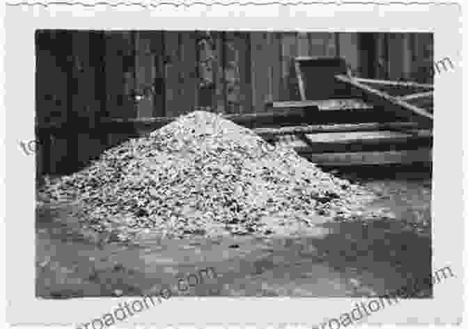 A Pile Of Ashes From The Holocaust The Holocaust Is Over We Must Rise From Its Ashes