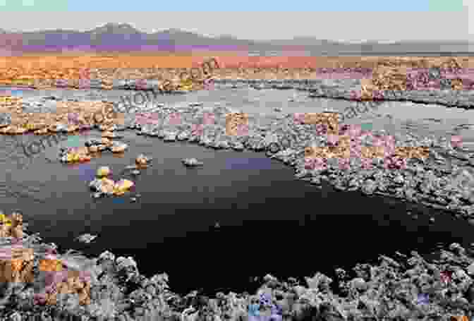 A Serene Photograph Of A Salt Flat In The Atacama Desert. DesertScapes: Volume 2: A Photographic Tribute To Scenic Deserts