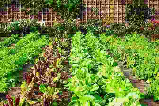 A Vibrant And Flourishing Vegetable Garden Filled With A Variety Of Colorful Vegetables. Homegrown Pantry: A Gardener S Guide To Selecting The Best Varieties Planting The Perfect Amounts For What You Want To Eat Year Round