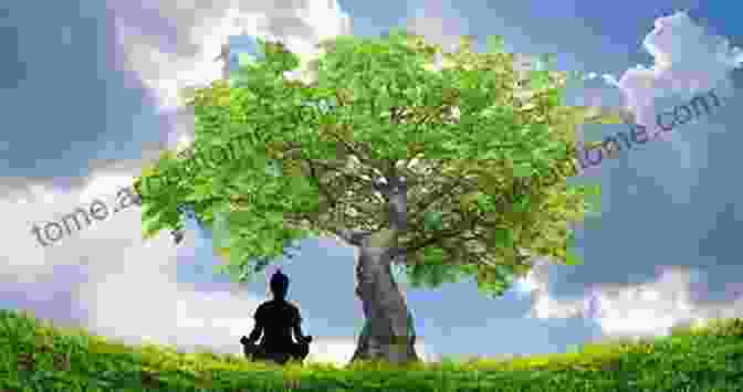 A Woman Meditating Under A Tree, Surrounded By Nature's Healing Energy The Tree Mothers: Living Wisdom Of The Ogham Trees