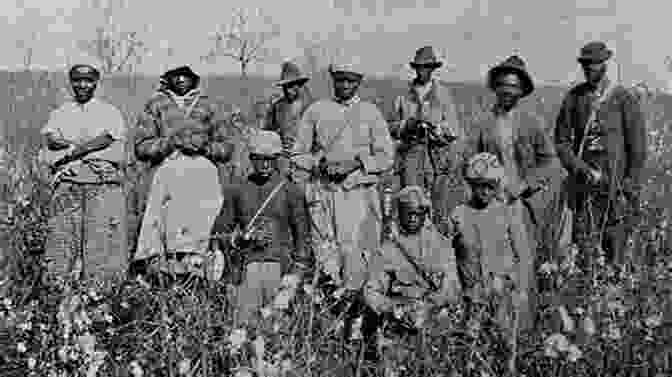 An Image Of African Americans Working In A Cotton Field During The Reconstruction Era Elbert County Georgia (Black America Series)