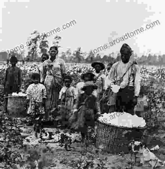 An Image Of Slaves Working On A Plantation During The Antebellum Era In Georgia Elbert County Georgia (Black America Series)