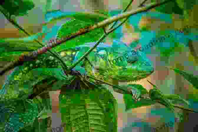 Animal Camouflage In Action, Showcasing How Animals Use Color To Blend Into Their Surroundings Blue Animals On The Planet: Animal Encyclopedia For Kids (Colorful Animals On The Planet 1)