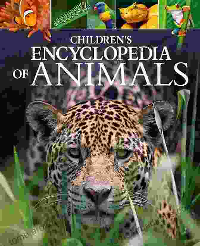 Animal Encyclopedia For Kids: Reptiles And Amphibians Snakes Are Scary That Say Gotcha: Animal Encyclopedia For Kids (Children S Reptile Amphibian Books)