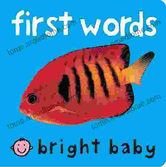 Bright Baby First Words Cover With Vibrant Illustrations And Playful Text Bright Baby First Words Roger Priddy