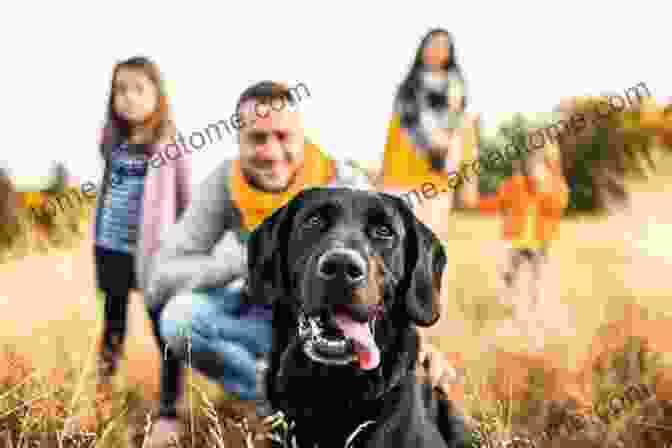 Buddy, The Underachieving Labrador, Surrounded By His Loving Family. Sit Stay Heal: How An Underachieving Labrador Won Our Hearts And Brought Us Together