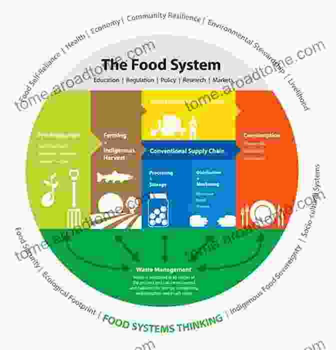 California Studies In Food: Interdisciplinary Approach To Food Systems Weighing In: Obesity Food Justice And The Limits Of Capitalism (California Studies In Food And Culture 32)