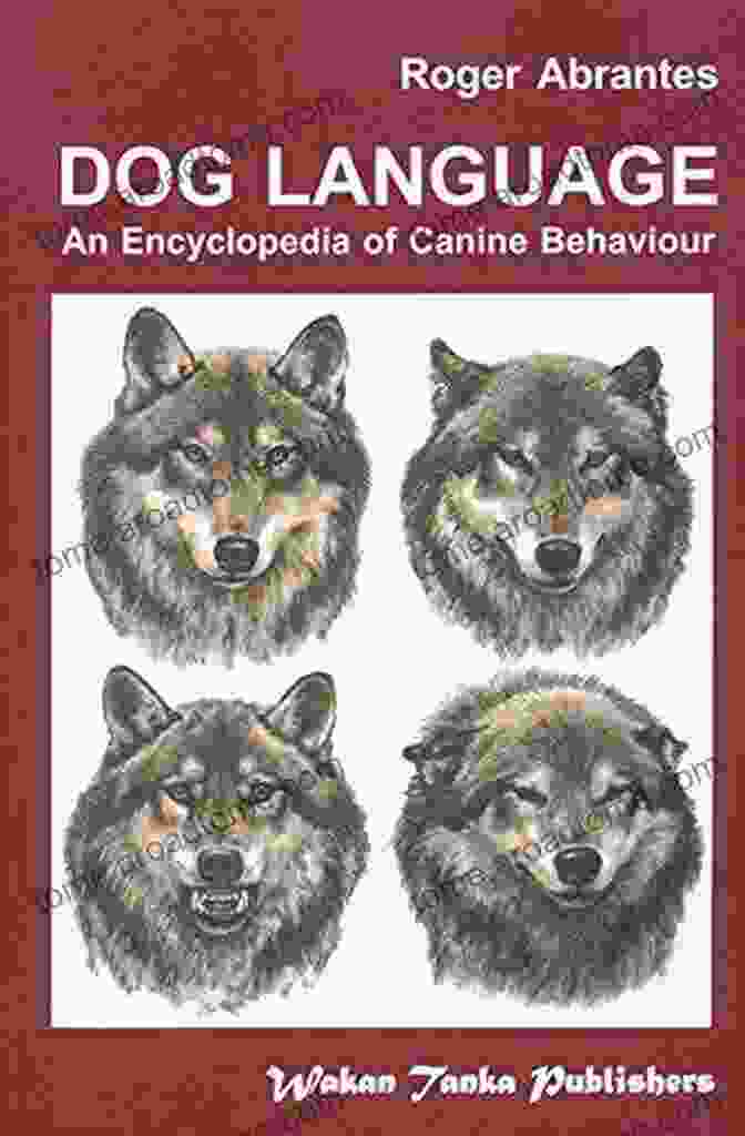 Cover Of Dog Language: An Encyclopedia Of Canine Behavior Dog Language An Encyclopedia Of Canine Behavior