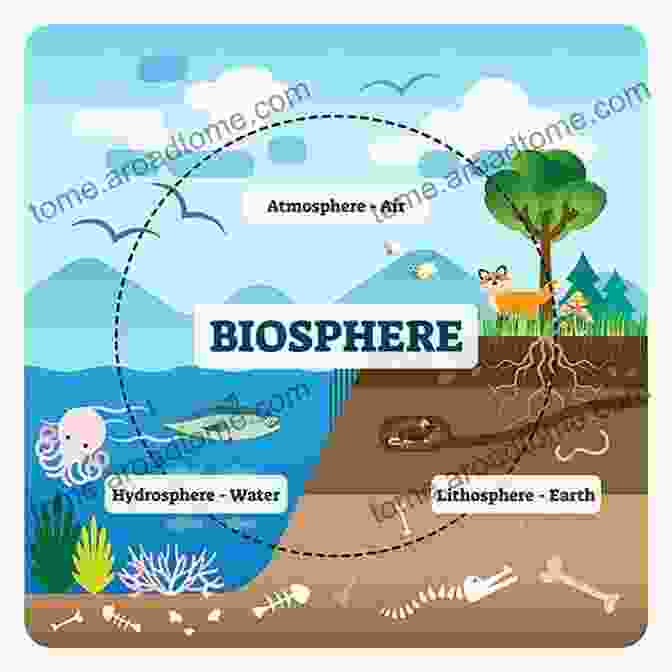 Diagram Of Earth's Systems, Including The Atmosphere, Lithosphere, Hydrosphere, And Biosphere Deserts Of The World: Geography 2nd Grade For Kids Children S Earth Sciences Edition