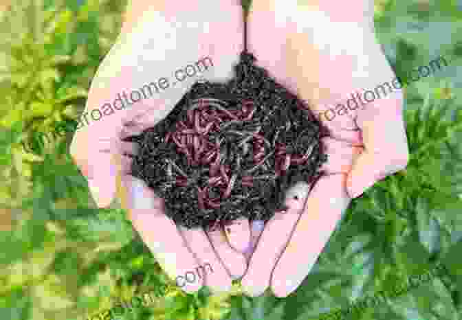 Earthworm Castings On Soil What Every Gardener Should Know About Earthworms: Storey S Country Wisdom Bulletin A 21 (Storey Country Wisdom Bulletin)