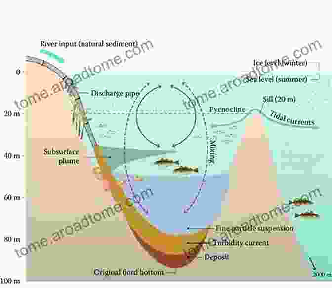 Environmental Impact Of A Submarine Mass Movement Submarine Mass Movements And Their Consequences: 6th International Symposium (Advances In Natural And Technological Hazards Research 37)