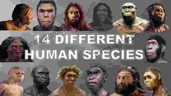 Evolution Of Human Species The Origins Of Man And The Universe: The Myth That Came To Life