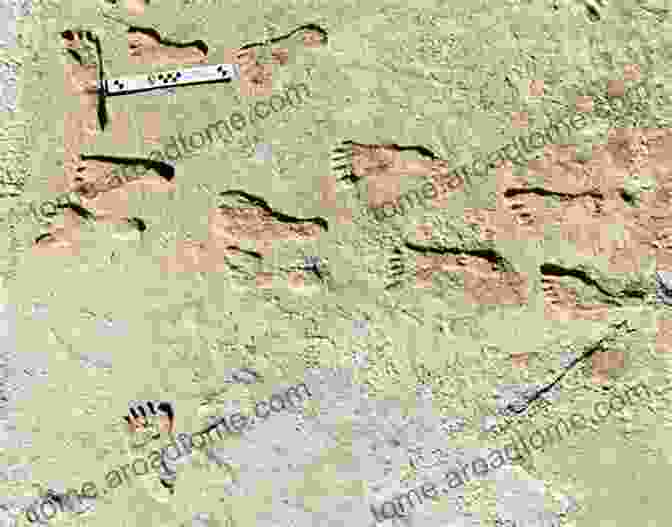 Footprints Of Ancient Hominids On A Rocky Surface The History And Geography Of Human Genes: Abridged Edition