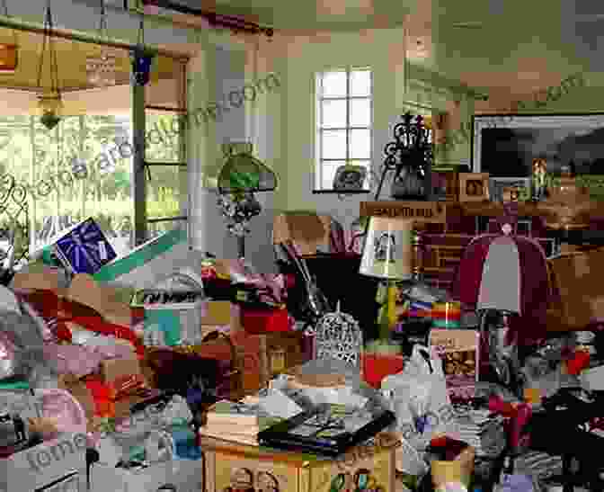 Image Of A Decluttered And Organized Home The Ultimate Toxic Mold Recovery Guide: Take Back Your Home Health Life