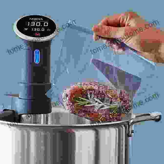 Image Of Sous Vide Cooking Apparatus The French Cookbook For Beginners 2024: Learn More Than 250 Homemade Recipes And Techniques From Culinary Arts