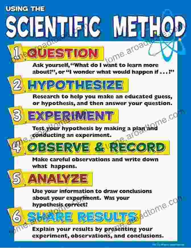 Infographic Depicting The 12 Steps To Science Based Nutrition The Diet Compass: The 12 Step Guide To Science Based Nutrition For A Healthier And Longer Life