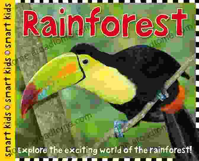 Investigating Rainforest Animals Smart Kids: Rainforest Roger Priddy