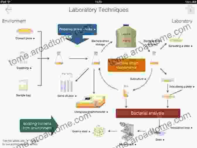 Laboratory Animal Bacteriology Techniques Handbook Of Laboratory Animal Bacteriology