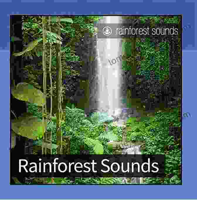 Listening To Rainforest Sounds Smart Kids: Rainforest Roger Priddy