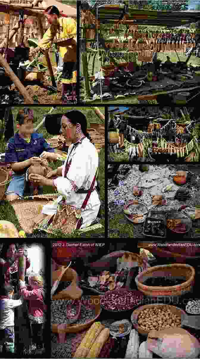 Native American Indians Gathering Food In The Forest The Native American Indian Approved Means To Gather Food US History 6th Grade Children S American History