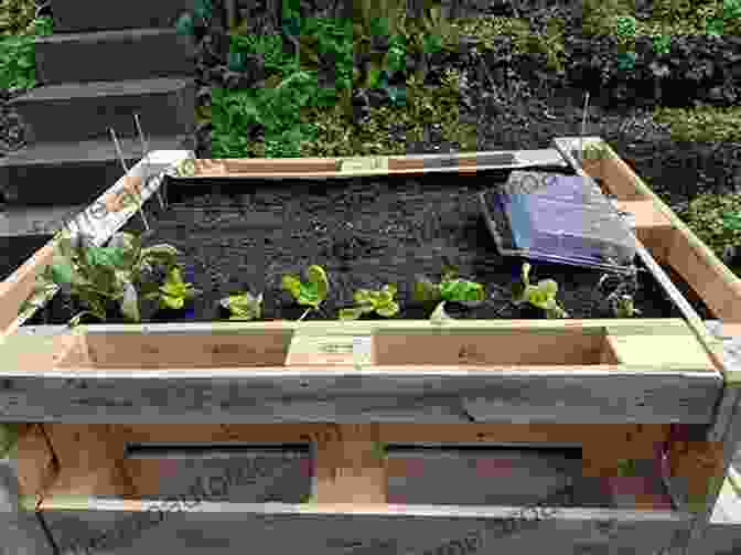 Raised Beds Made From Wood Pallets Wood Pallets Projects: 20 Ways Of Using Wood Pallets In The Garden: (Wood Pallets Projects Reusing Wood Pallets)