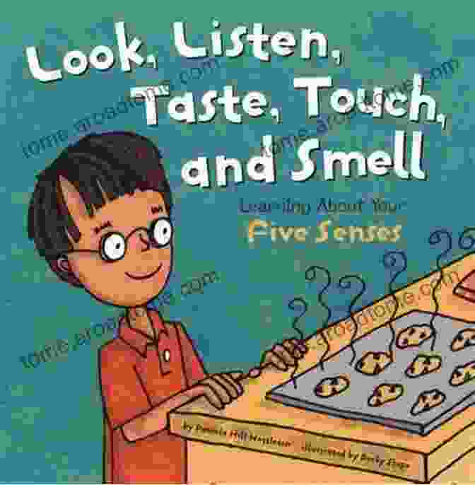 See Hear Feel Touch Taste About My Senses Book I See I Feel I Hear I Touch I Taste A About My 5 Senses For Kids Baby Toddler Sense Sensation