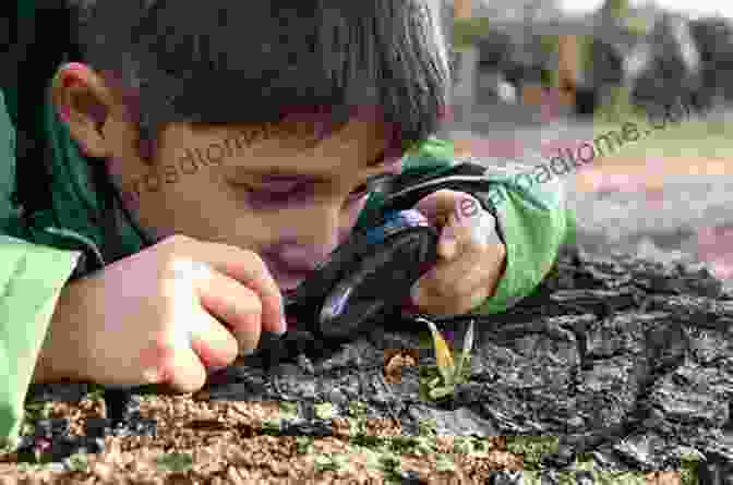 Toddler Holding A Magnifying Glass Over A Puzzle I SPY: EVERYTHING: Puzzles For Toddlers And Preschoolers