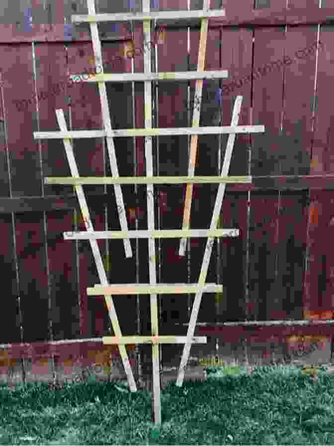 Trellises Made From Wood Pallets Wood Pallets Projects: 20 Ways Of Using Wood Pallets In The Garden: (Wood Pallets Projects Reusing Wood Pallets)