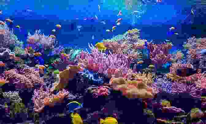 Underwater Scene Showcasing The Vibrant Colors And Diverse Marine Life Found In The Ocean Blue Animals On The Planet: Animal Encyclopedia For Kids (Colorful Animals On The Planet 1)