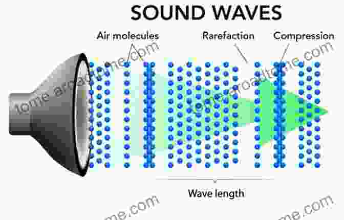 Vibrating Diaphragm Creates Sound Waves That Travel Through A Medium Like Air Or Water. My Ears Are Special : The Science Of Sound Physics For Children Children S Physics