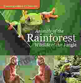 Animals of the Rainforest Wildlife of the Jungle Encyclopedias for Children