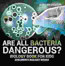 Are All Bacteria Dangerous? Biology For Kids Children S Biology