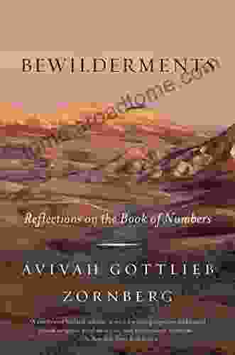 Bewilderments: Reflections on the of Numbers