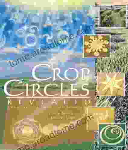 Crop Circles Revealed: Language Of The Light Symbols