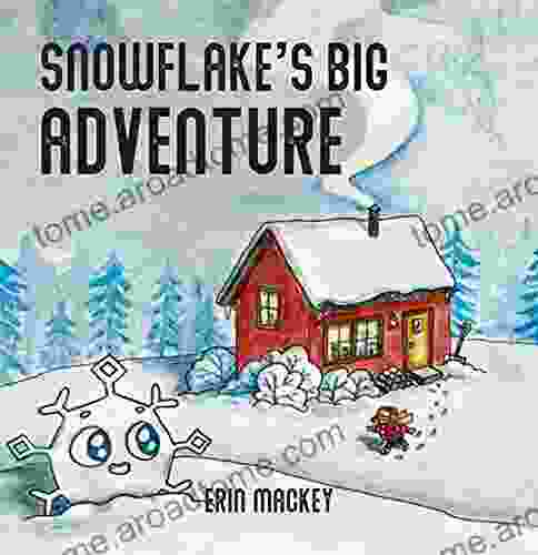 Snowflake S Big Adventure Erin Mackey