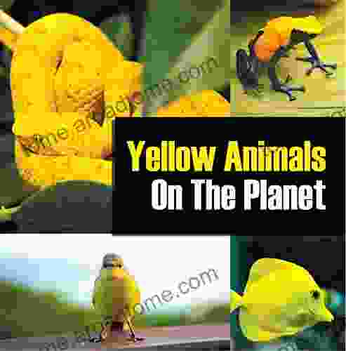 Yellow Animals On The Planet: Animal Encyclopedia For Kids (Colorful Animals On The Planet 4)