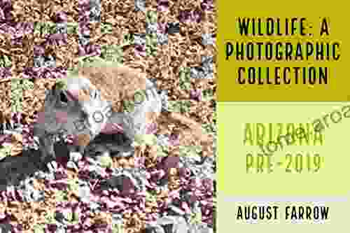 Wildlife: A Photographic Collection Arizona Pre 2024: A Photographic Collection (Wildlife: Arizona)