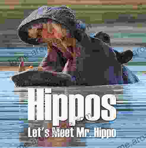 Hippos Let S Meet Mr Hippo: Hippo For Children (Animal Encyclopedia For Kids)