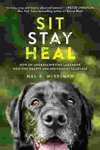 Sit Stay Heal: How an Underachieving Labrador Won Our Hearts and Brought Us Together