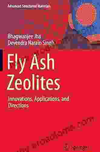 Fly Ash Zeolites: Innovations Applications And Directions (Advanced Structured Materials 78)