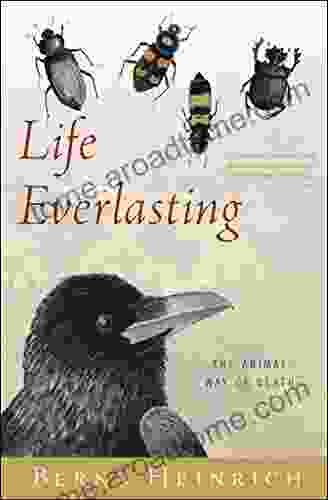 Life Everlasting: The Animal Way Of Death