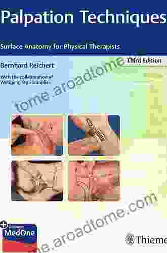 Palpation Techniques: Surface Anatomy for Physical Therapists